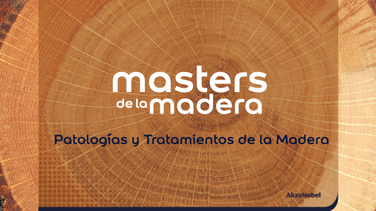Masters de la madera – Patología y tratamiento de la madera